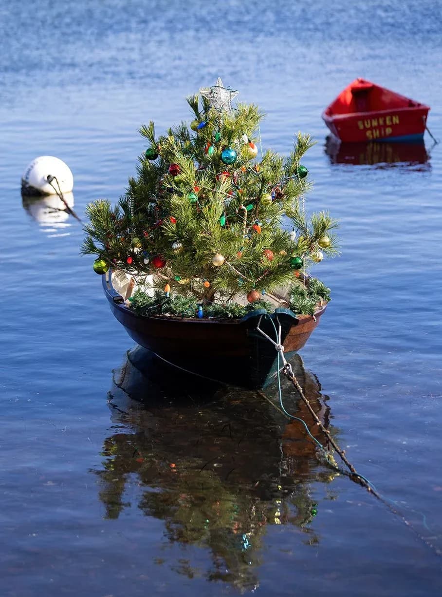 Christmas tree in boat on water