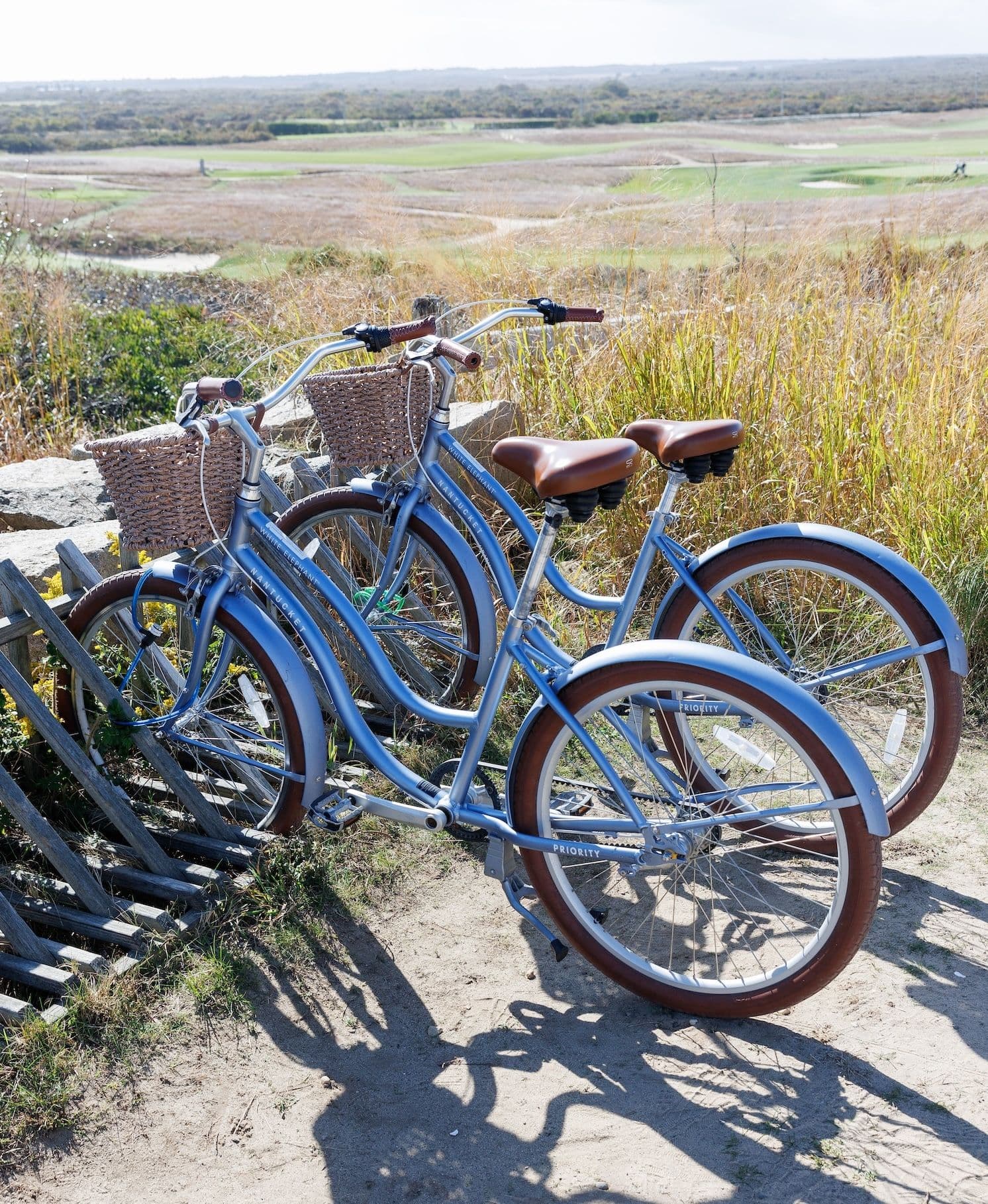 Bikes parked at a bike rack near long grasses and sand.