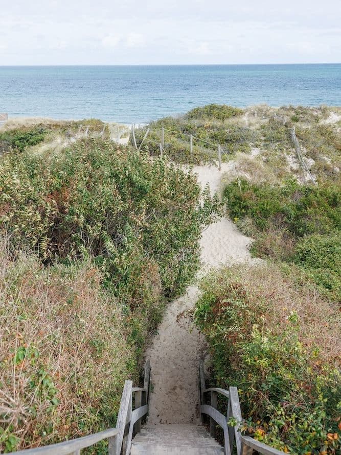 Steps down to Steps Beach path.