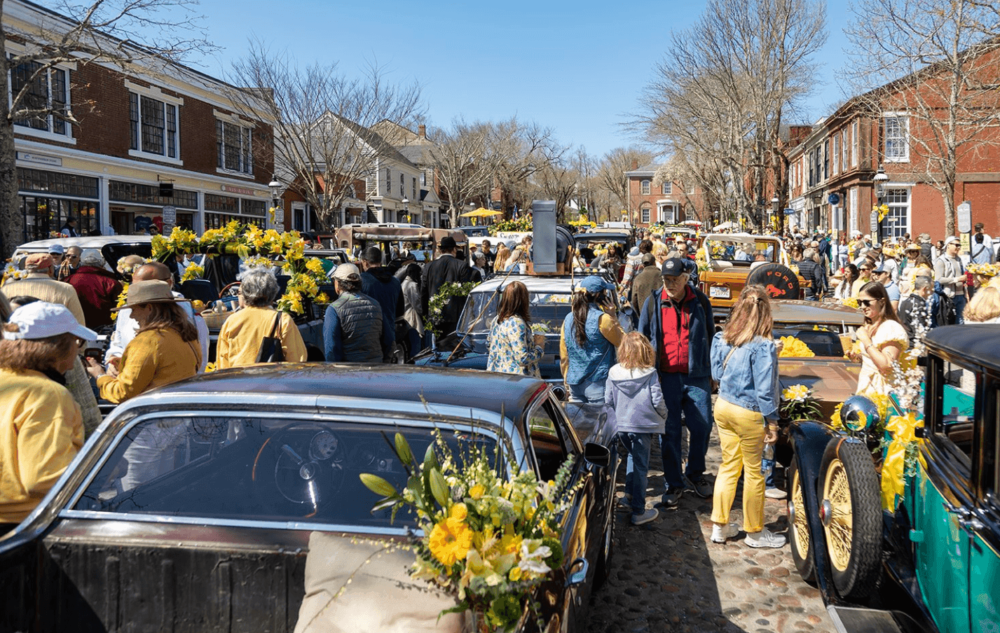 The Daffodil Festival