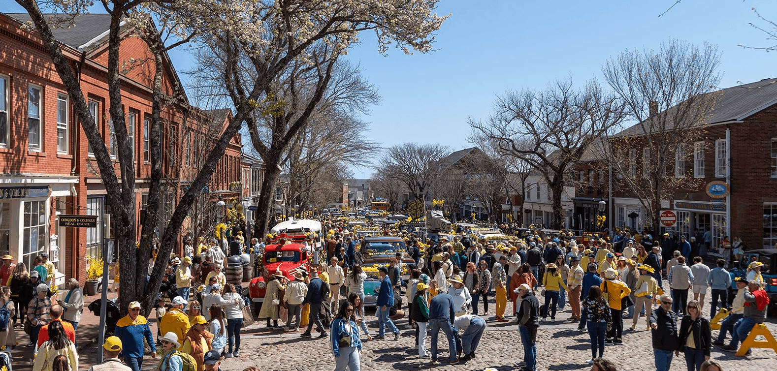 Nantucket Main Street during Daffodil Festival. Street lined with people and daffodils.