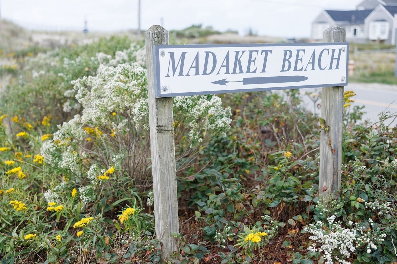 Madaket Beach wooden sign surrounded by green, white and yellow flowers.