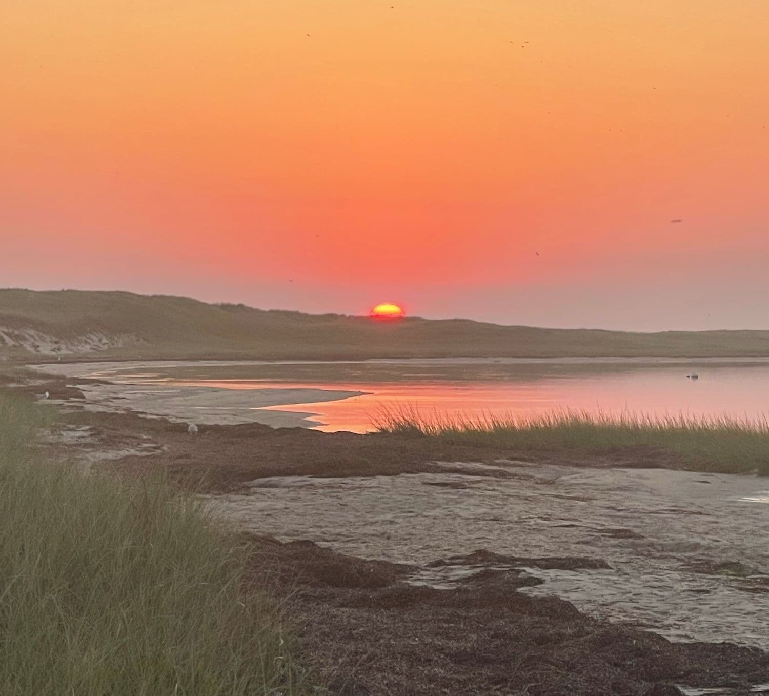 Spend a Perfect Summer Day on Nantucket