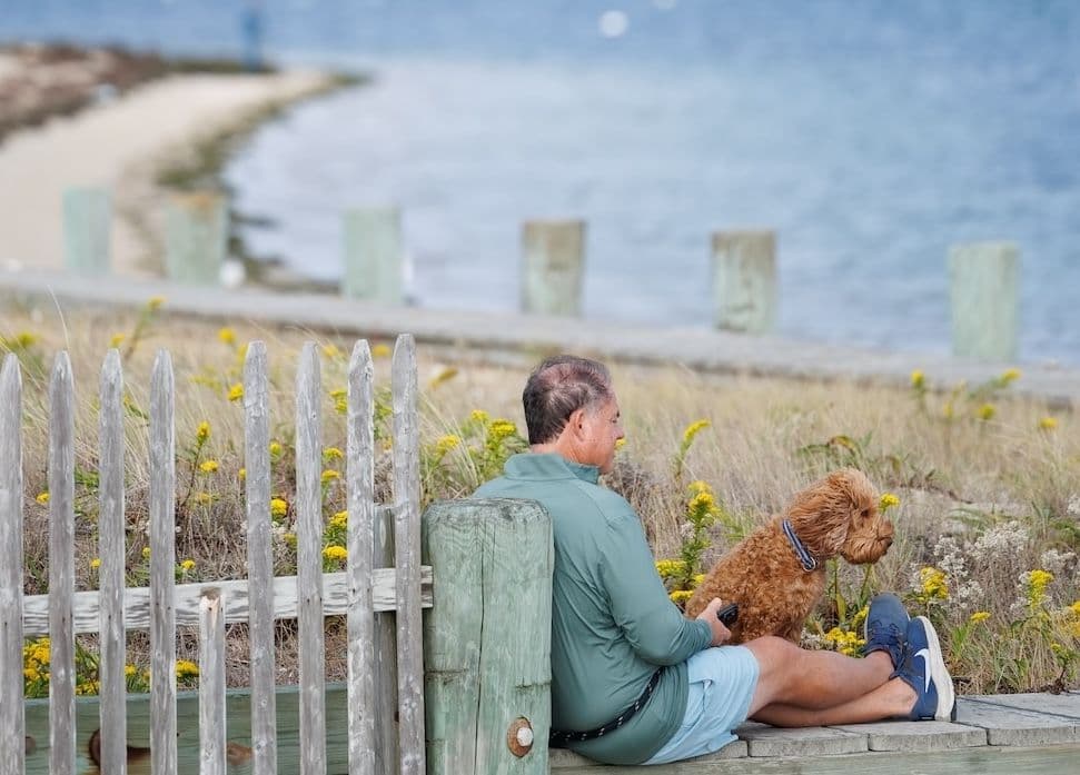 The best pet-friendly spots on Nantucket