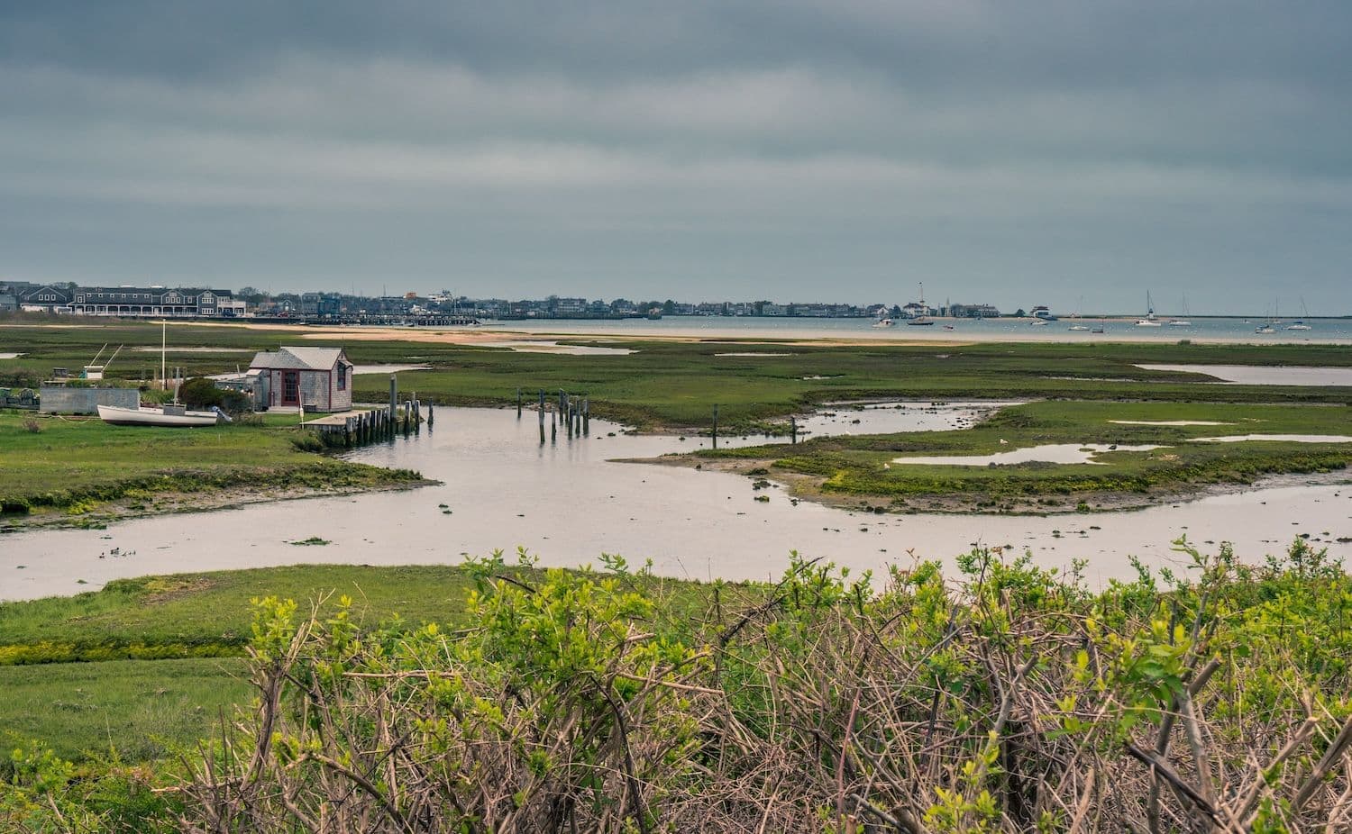 Why Nature Lovers Love Nantucket