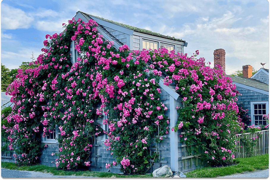 Things to do this spring in Nantucket